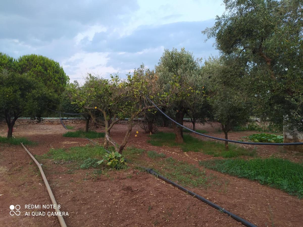 Ozena Countryside Apartment Vromonérion 외부 사진