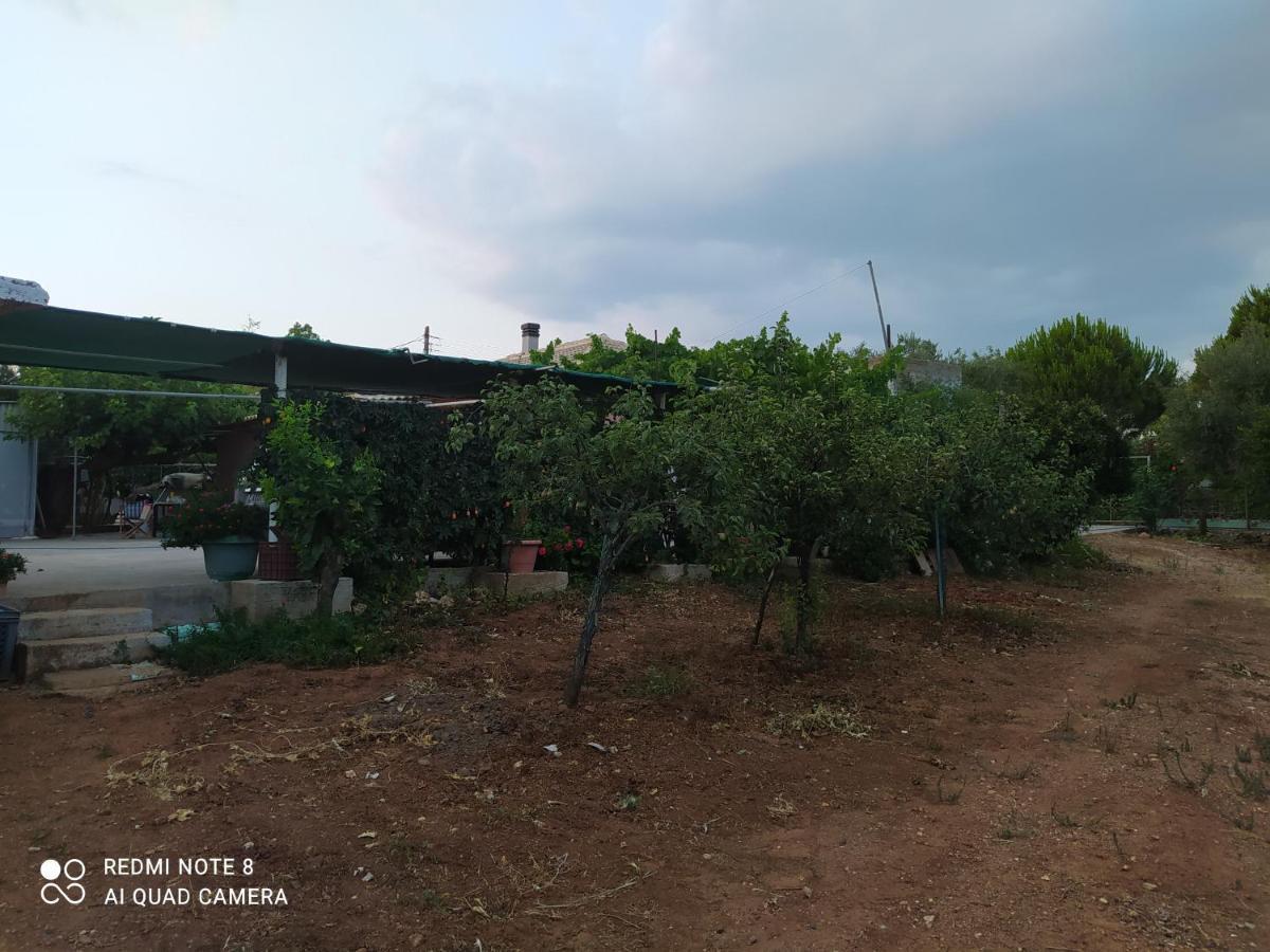 Ozena Countryside Apartment Vromonérion 외부 사진